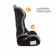 Car Carec resilient Zlatek ZL513 BASIC, group 1/2/3 (9-36 kg), color gray color