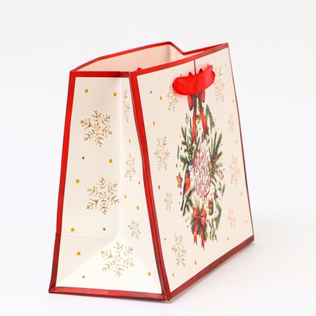 Laminated packet "Miracles!", MS 23 × 18 × 10 cm-1
