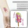 Tattoo on the body color "Fruit ice - cool your ardor" 6x6 cm