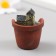 Figure for Florarium Polystone "House in a broken pot" 4x3.5x5 cm