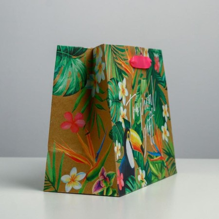 Package Gift Craft Horizontal, Packaging, Tropical Gift, 23 x 18 x 10 cm-1