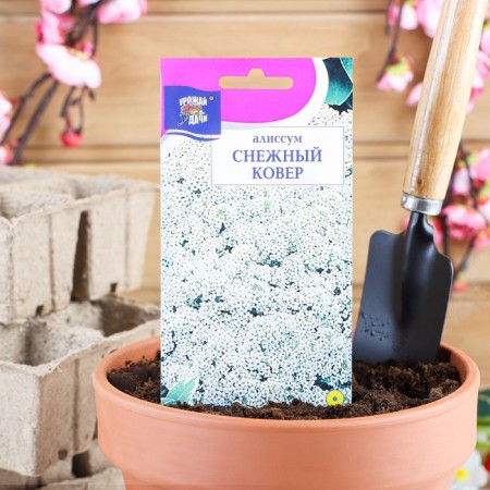 Alissum flowers "Snow Carpet", 0.1 gr.
