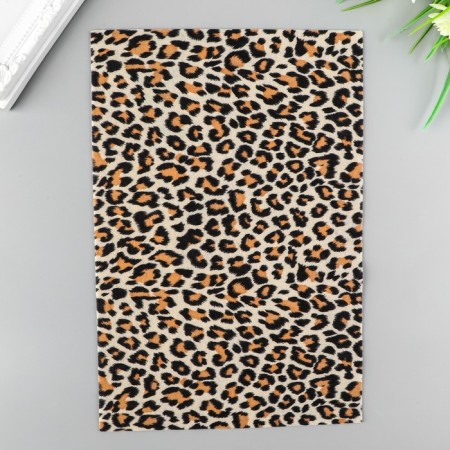 VETR "Blitz" 1 mm, soft 20x30 cm ± 2 cm (set 5 pcs) Assorted FCR10 No. 1-1