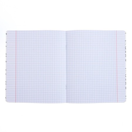Notebook of 48 sheets in the Erichkrause cell "Happy Capy,", matte lamination, an offset block 100%, mix-1