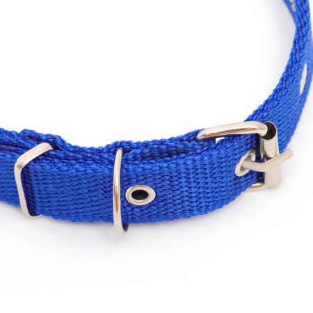 Klopany collar, 40.5 x 2 cm, Osh 26-34 cm, polyester, blue-2