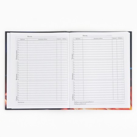School Diary of 1-4 class, in a solid cover, 48 liters "September 1: Red Kitten"-6