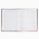 School Diary of 1-4 class, in a solid cover, 48 liters "September 1: Red Kitten"