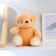 Soft toy "Bear"