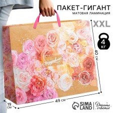 Package Gift Laminated Horizontal, Packaging, 