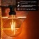 Filament Loft Globe A125 11.5W 1380lm 2400k E27 Golden Sales REXANT