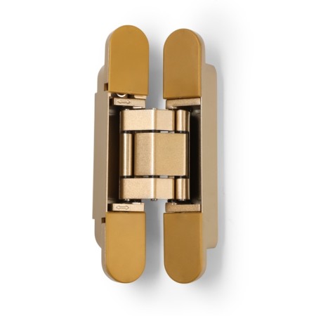 Loop Lockland hidden installation, 25x150 mm, with 3D regulation, color matte gold