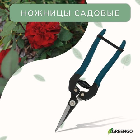 Garden scissors, 8 "(20 cm), with plastic handles, Greengo