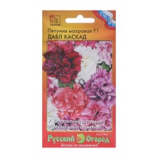 Flowers of Petunia 