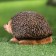 Garden figure "Hedgehog crawls" 19x10x9cm