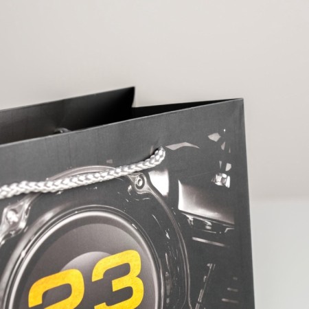 Package Gift Laminated Vertical, packaging, "February 23", Ml 23 x 27 x 11.5 cm-3