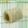 Suspended fur tunnel for rodents, 19 x 12 x 13 cm, beige