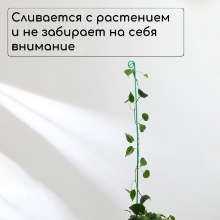 Pegs for garter plants, h = 100 cm, d = 0.3 cm, wire, green, greengo-2