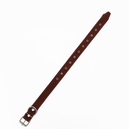 Collar combined leather/tarpaulin, dimensionless, 70 x 3.5 cm, Osh 25-60 cm, brown-2
