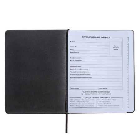 Universal Grade 1-11 Diary, 48 sheets "Traces", hard cover of artificial leather, embossing foil, liesse, OFSET block-5