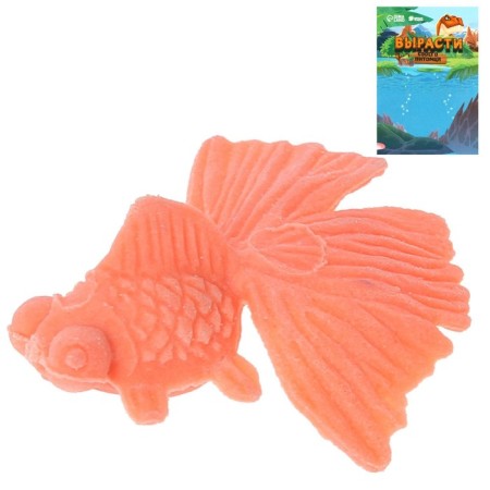 Children's experience “growing animal. Goldfish ", mix-2