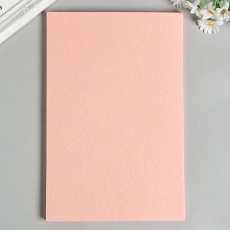Hard felt 1 mm 20x30 cm ts.658 bl.-2