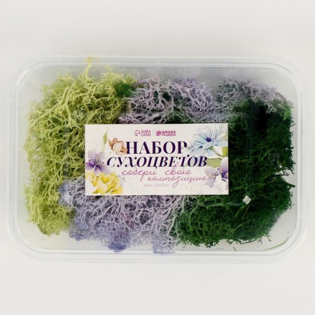 Set of dried flowers "moss", color mix-3