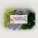 Set of dried flowers "moss", color mix