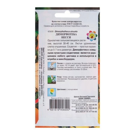 Flower seeds dimorphothek "Nessie" House of seeds, o, 30 pcs-1