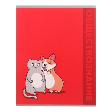 A set of object notebooks Calligrata TOP "Animals", 48 sheets, 12 items, with reference material, cover coated cardboard, matte lamination, selective UV-lame, offset block-9