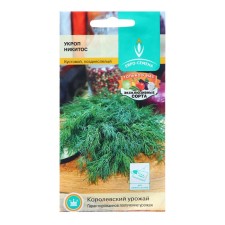 Dill 