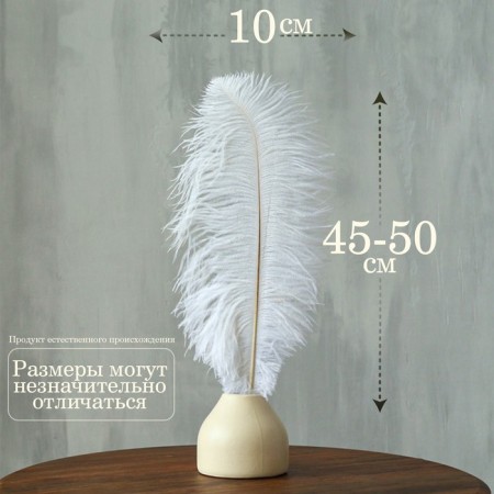Feather for decor, length: from 45 to 50 cm, white color-1