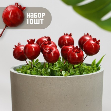 Set of plugs "Pomegranate" 10pcs, 4x3cm