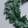 Liana is artificial for decor "Green leaves", 3 meters, 13 × 13 × 2 cm
