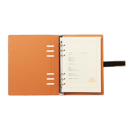 Organizer on the rings, A5 format, 90 sheets, line, with a knife, cover of the leather mix-5