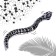 The animal radio -controlled "snake", light, works from the battery, the color is black