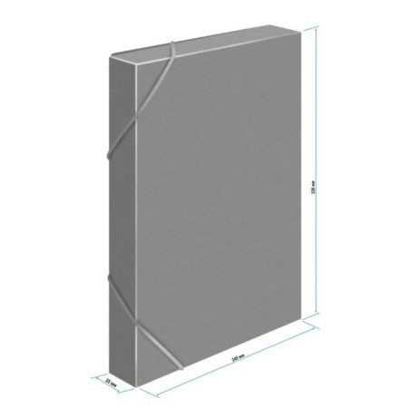 A4, 500MKM, calligrata elastic band folder on the elastic band, a root of 25 mm, up to 230 sheets, embossing "sand", gray-2