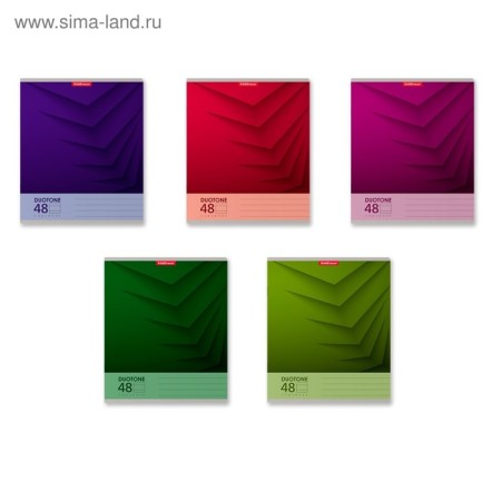 Notebook of 48 sheets in the Erichkrause Duotone Next line, cover coated cardboard, offset block, whiteness 100%, mix