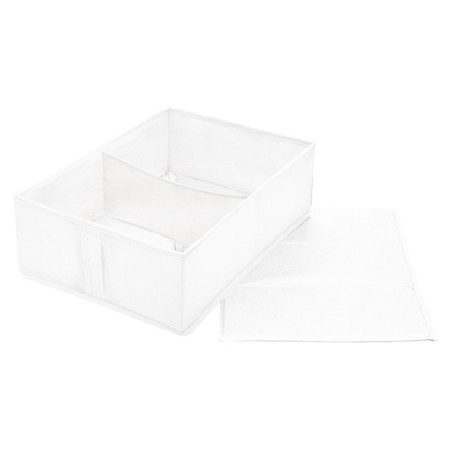 Organizer 50x36x16 cm, 2 cells-2