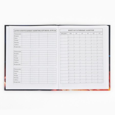 School Diary of 1-4 class, in a solid cover, 48 liters "September 1: Red Kitten"-5