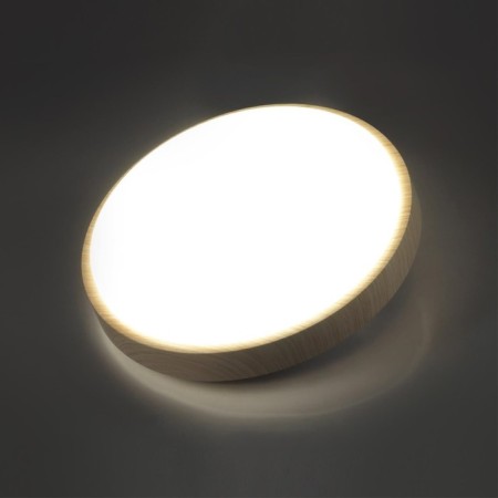 Losta LED 30W 4000K D340 IP43-2
