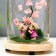 Nightlight "Romance" LED from batteries 3xlr44 mix 11x11x25 cm Risalux