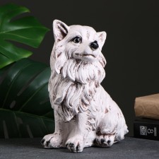 Pig a piggy bank 