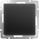 Single-valve switch WL08-SW-1G, black color