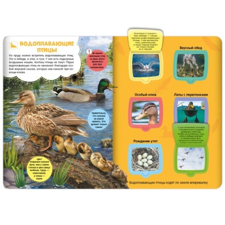 Book with windows "Meadow and Pond"-1