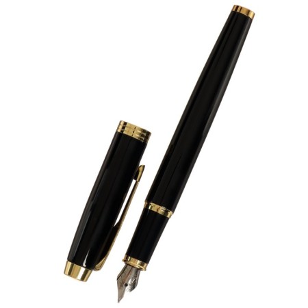 Gift feathers Calligrata, in the leatherette case PB IM, black body with gold-2