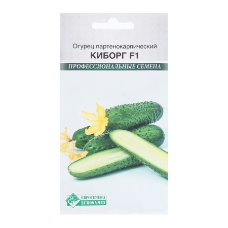 Seeds Cucumber Parthenocarpic Cyborg F1, 5 pcs