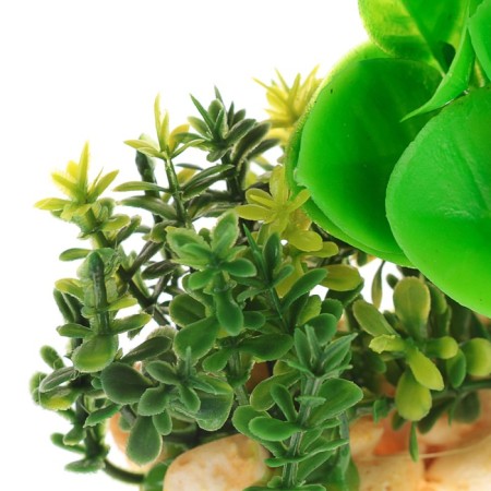 Aquarium artificial aquarium plant on a stone under stone, 12 x 12 x 6 cm-3