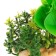Aquarium artificial aquarium plant on a stone under stone, 12 x 12 x 6 cm