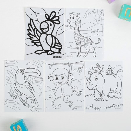 Safari drawing set in a package-2