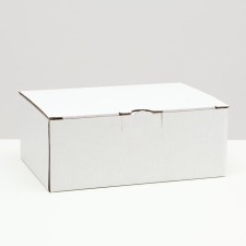 Penal box, white, 26 x 19 x 10 cm